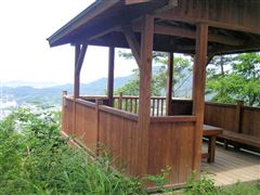 �W�]�̋u�̂����܂�