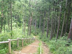 ���蓹�B�肷�肪���Ă܂��B