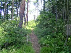 �r�ꂽ�ׂ���