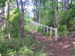 �������A�肷�肪�����