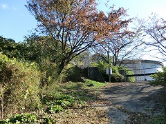 �ː������{��