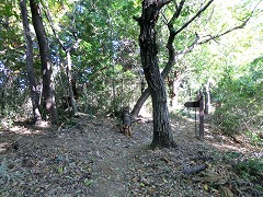 ���q�ω��R�ւ̕���