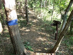 ������ւ̕���