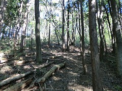 �ؗ��̒���