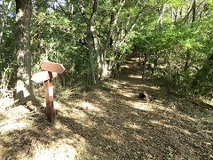 �ێR���w�ւ̕���