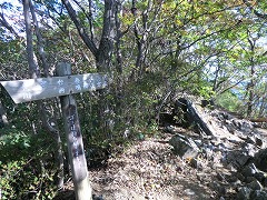 �t����ʂ��������W