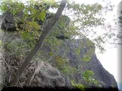 �g���r��