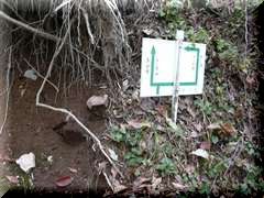 2���j�⏗�╪��