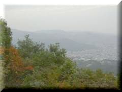 ���̑����̎R�X