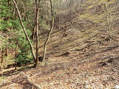 ���ꂻ���ȎΖ�