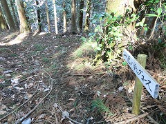 �ؗ��̒���