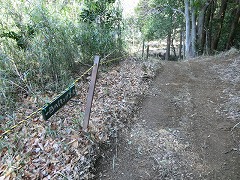 �g�����[�v�ɑ�����