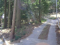 �ܑ����ꂽ�R��