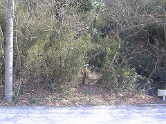 ���R���o�R��