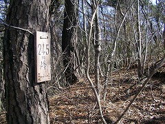 �Q�S�T����