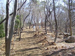 �L���V����