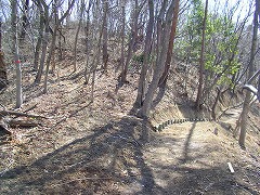 �����������Đ�������