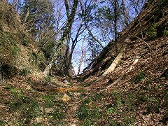 �{���̐������́A���̂܂܂����E�E�E