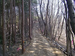 ���т̒�������