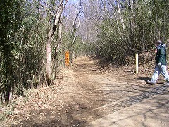 �]���̗V�����֔�яo��