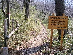 �����S���̊Ŕ�