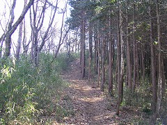 ���т�o��