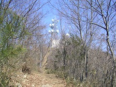 ���P�R�֌�����