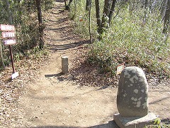 �����R�ւ̓o��