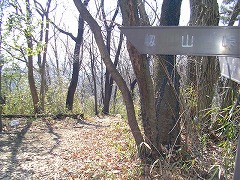 �������ւ̕���