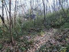 ���@����̓o�R���ƍ���