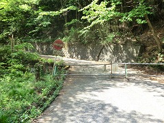 �ԗ��i���֎~