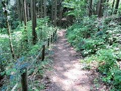 ���[�v�������Ă���