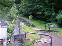 �V�����̂悤�ȊK�i