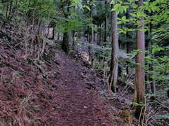 �ؗ��̒���o��