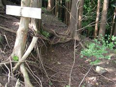 �Ƃ���ǂ���ɓ��W