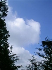 �~�J��������̐�