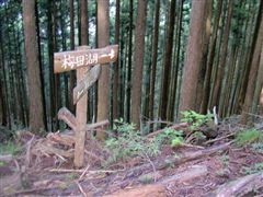 ���W�́A�~�c�΂�����