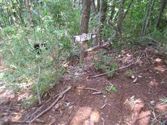 �~�c�΂��������W