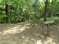 �O�ږV�̓��W