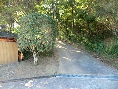 ��n�����̓o�R��