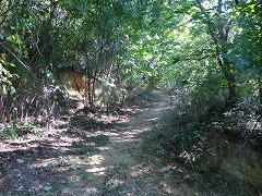 ���邢����