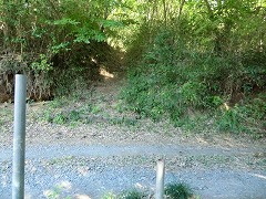 �L������