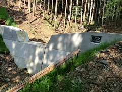 �ӂ��߂̍��h�_��