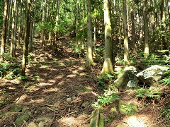 ���ݐՒ��x�̎R��