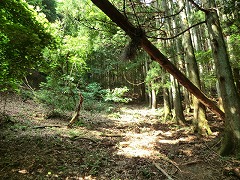 �|�؂̒���