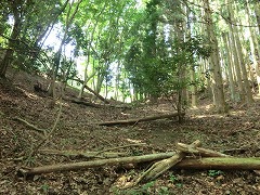 �����������