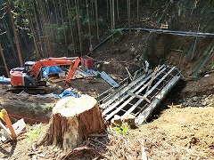 �H�����̌���