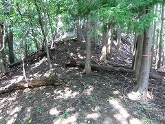 ��R�ւ̓�