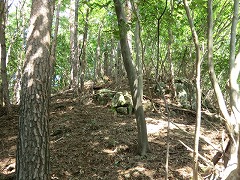 �o�肪����