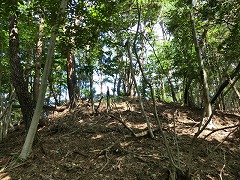 �󂪌����Ĕ�����